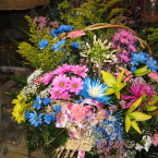 Corbeille 1