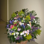 Corbeille  7